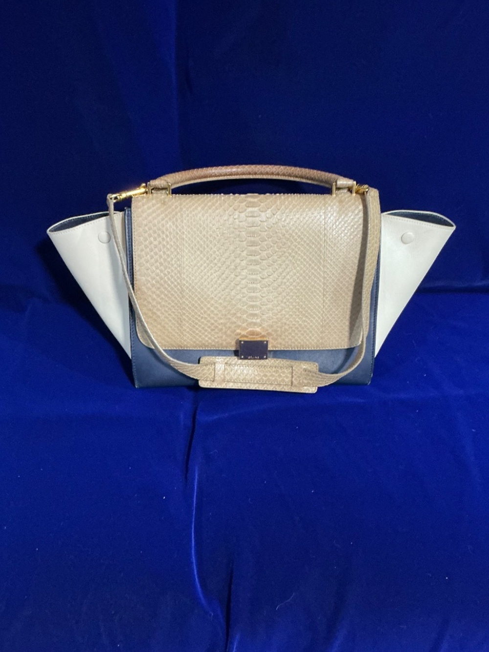 Celine Trapeze Medium Python Multi-Colored Shoulder Bag - Picture 2 of 14
